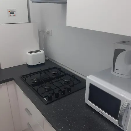 Apartman Tudor Mamaia Sat *