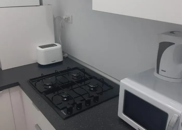 Apartman Tudor Mamaia Sat *